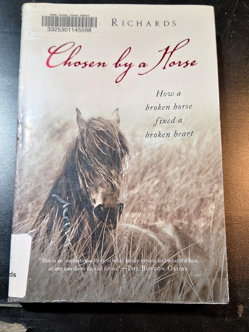 Harvest Books Chosen by a Horse Paperback Memoir Book